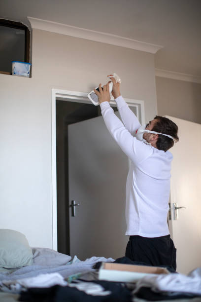 Best Black Mold Removal  in Columbus, NM