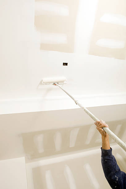 Best Basement Mold Removal  in Columbus, NM