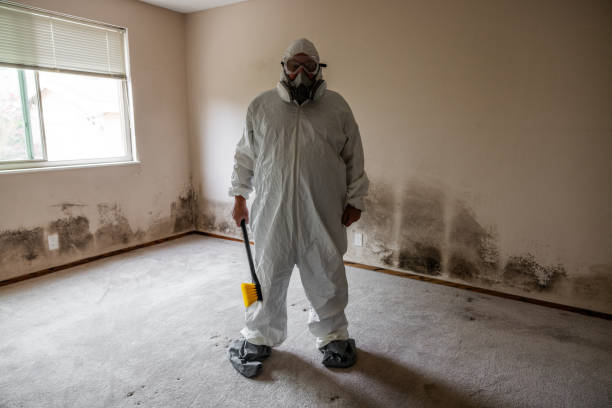Best Crawl Space Mold Remediation  in Columbus, NM