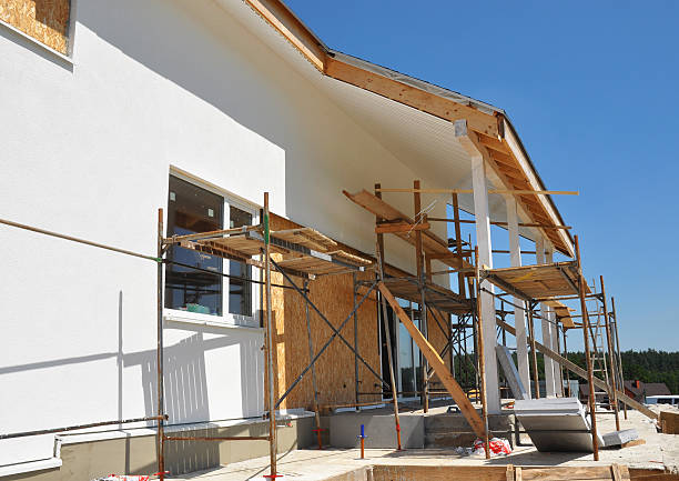 Reliable Columbus, NM Mold Removal Solutions