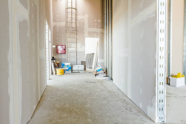 Best Comprehensive Air Testing for Mold Contaminants  in Columbus, NM