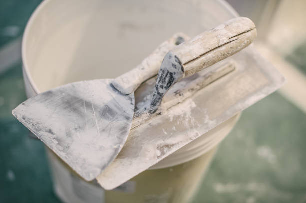  Columbus, NM Mold Removal Pros
